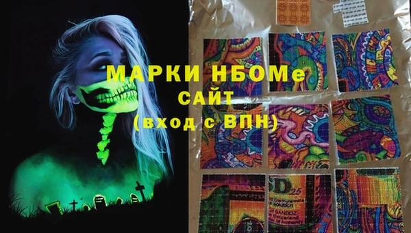крисы Горняк