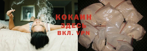 крисы Горняк