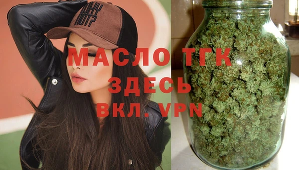 крисы Горняк