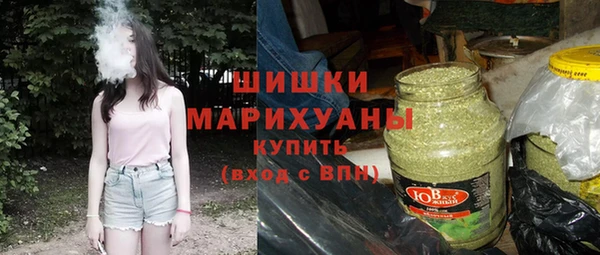 крисы Горняк