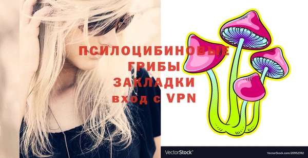 гашик Горно-Алтайск