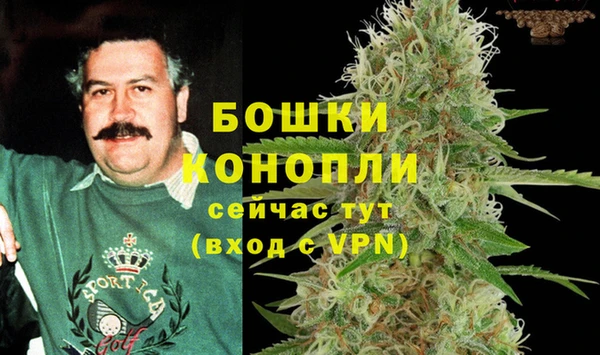 крисы Горняк