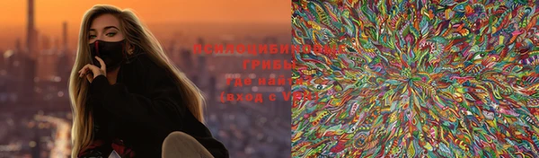 крисы Горняк